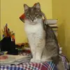 Отзыв от Нелли Ермакова